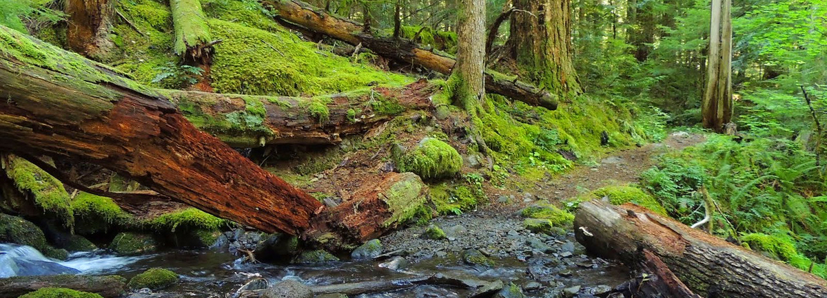 Herman Creek to Mud Lake